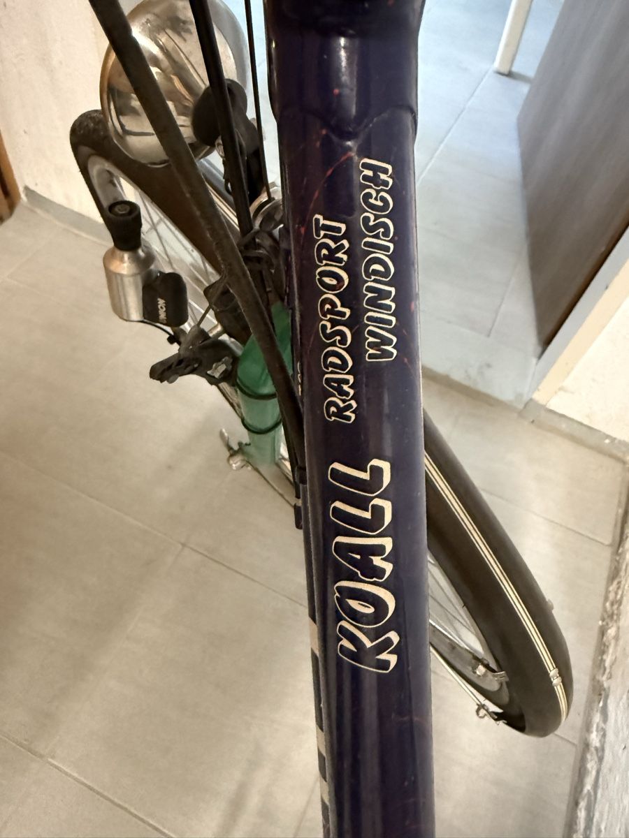 Cilo Biciclette: Damen Velo – Usato da Winterthur venduto da Montreal63 5
