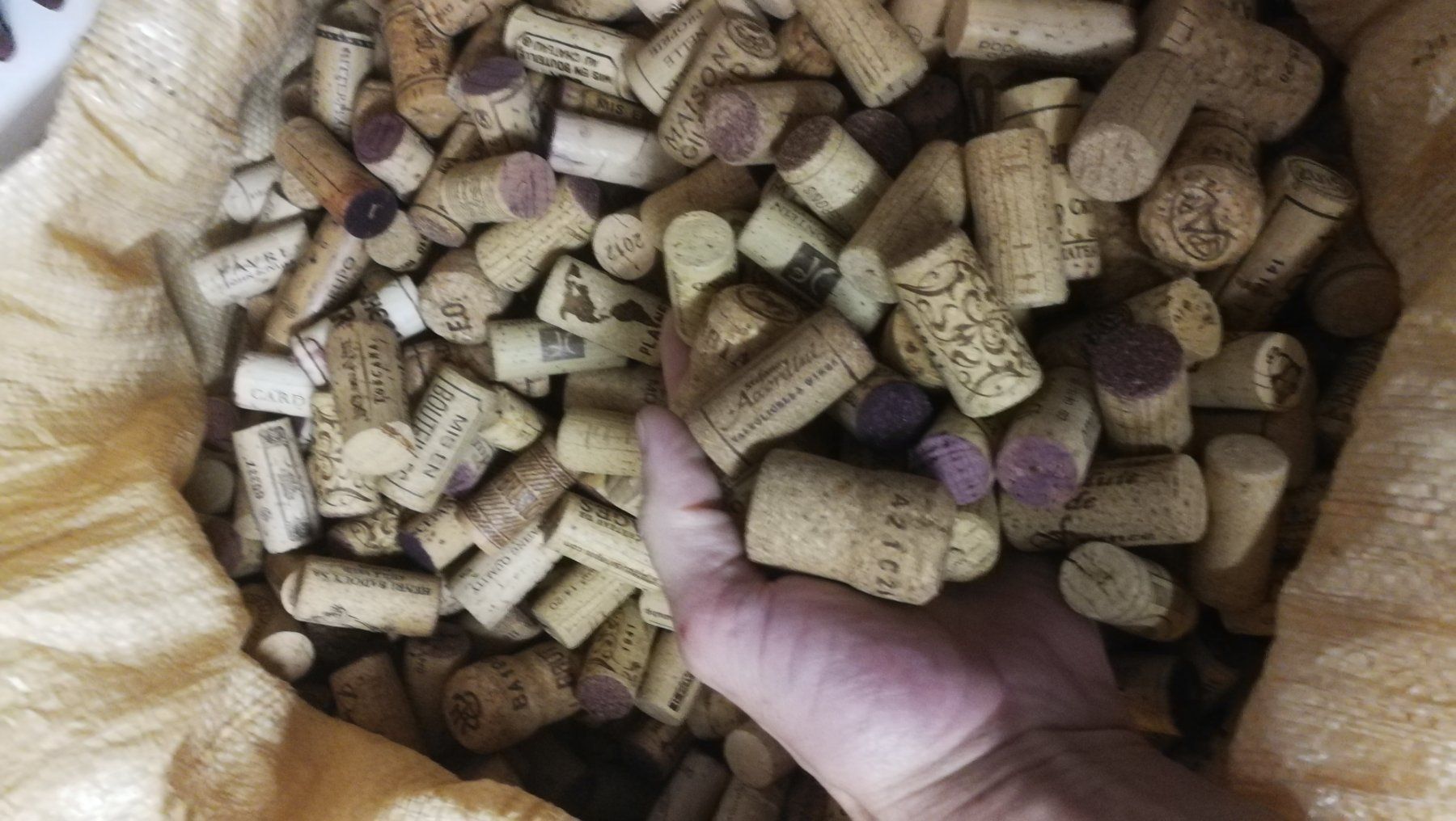 Apribottiglie & Tappi per chiusura: 1Kg Korkzapfen ca. 200STK – Usato da Lenzburg venduto da Zilti87 2