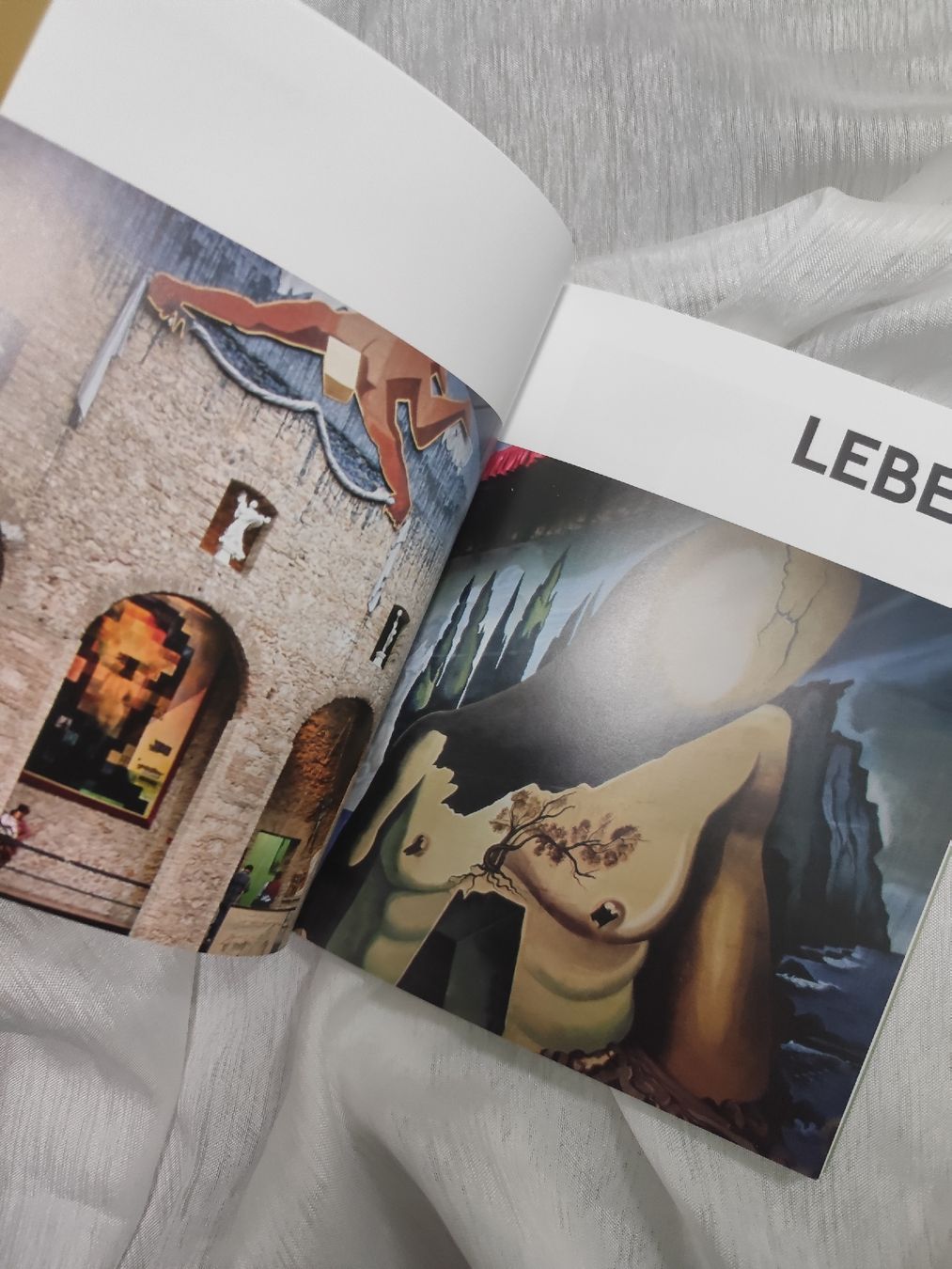 Libri: Dali Art Book - Beautifully Illustrated  – Usato da Mägenwil venduto da VintageGirly 7