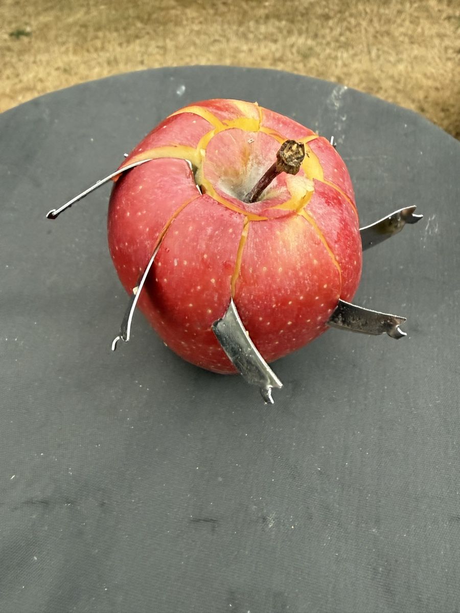 Alle Dekorationen: Pomme décorative artisanale objet insolite collection unique – Neu (gemäss Beschreibung) aus Estavayer-le-lac von Verm1470 2