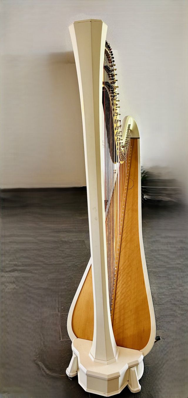Strumenti musicali: Salvi Sinfonietta Doppelpedalharfe/Konzertharfe – Usato da Steinmaur venduto da Andre-1