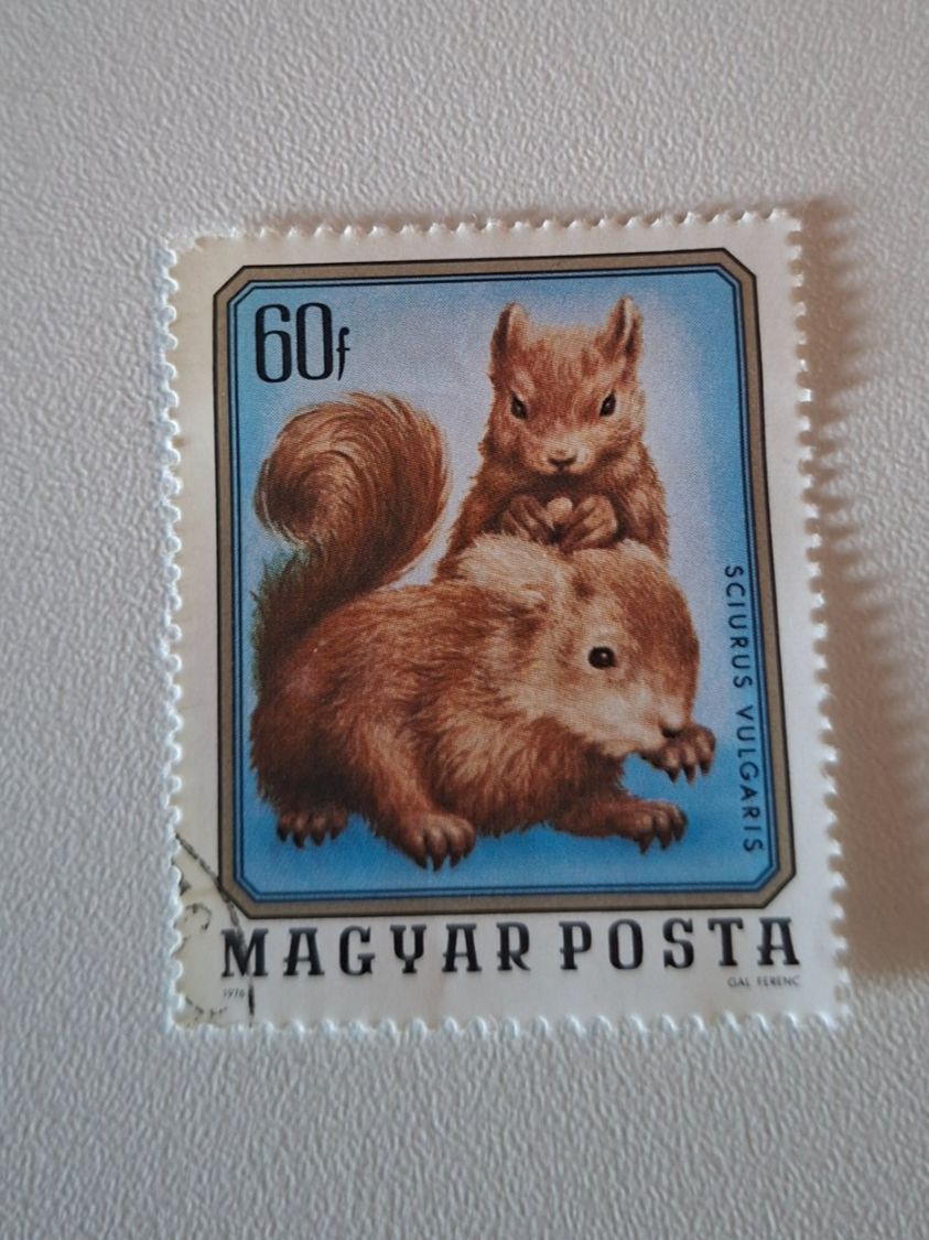 Alle Briefmarken: Briefmarke Eichhörnchen Motiv 60f Magyar Posta – Gebraucht aus Erlinsbach von pfunky