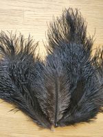 Schwarze Straussenfedern