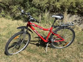 Vélo urbain (adulte)