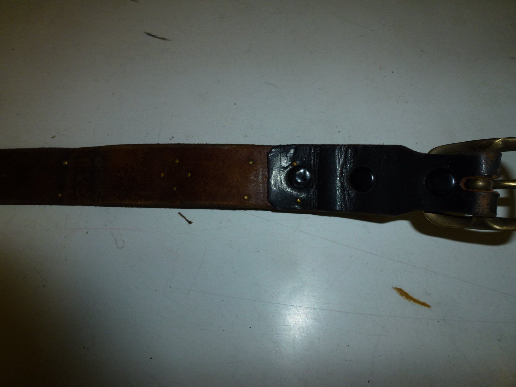 Campanacci mucche: Hundehalsband – Usato da Bürglen UR venduto da daisyxy5 3