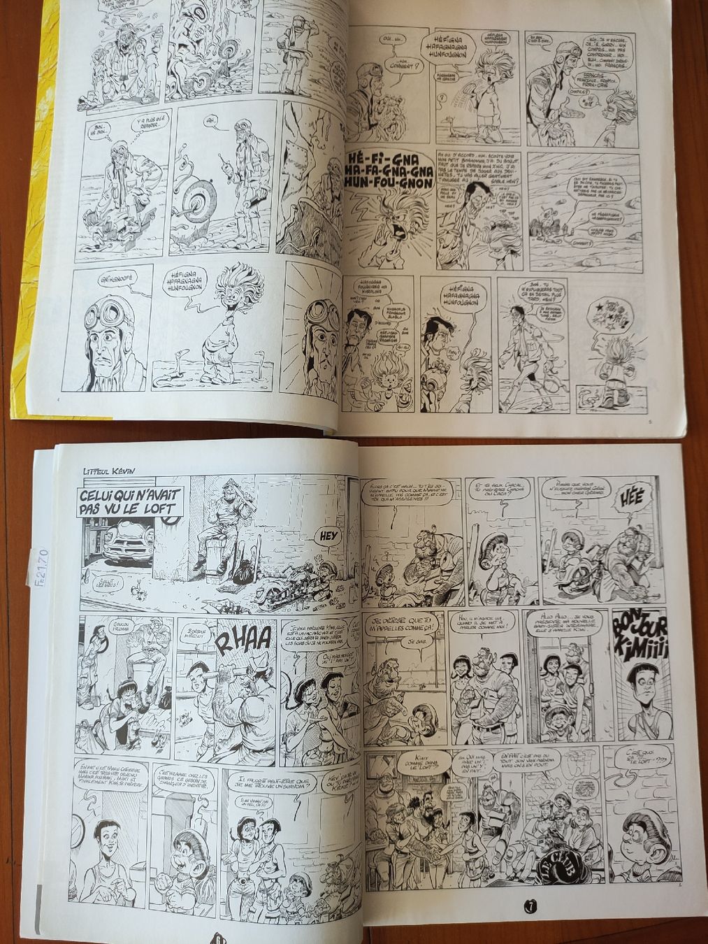 Fumetti: 2x Fluide Glacial – Usato da St. Gallen venduto da Pintador 2