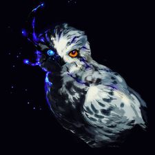 Profile image of RetroOwl