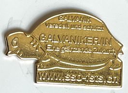 Pin Galvanik Galvanisieren