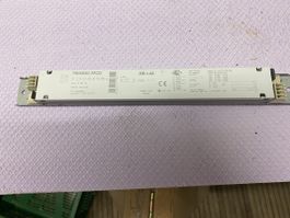 EVG T5