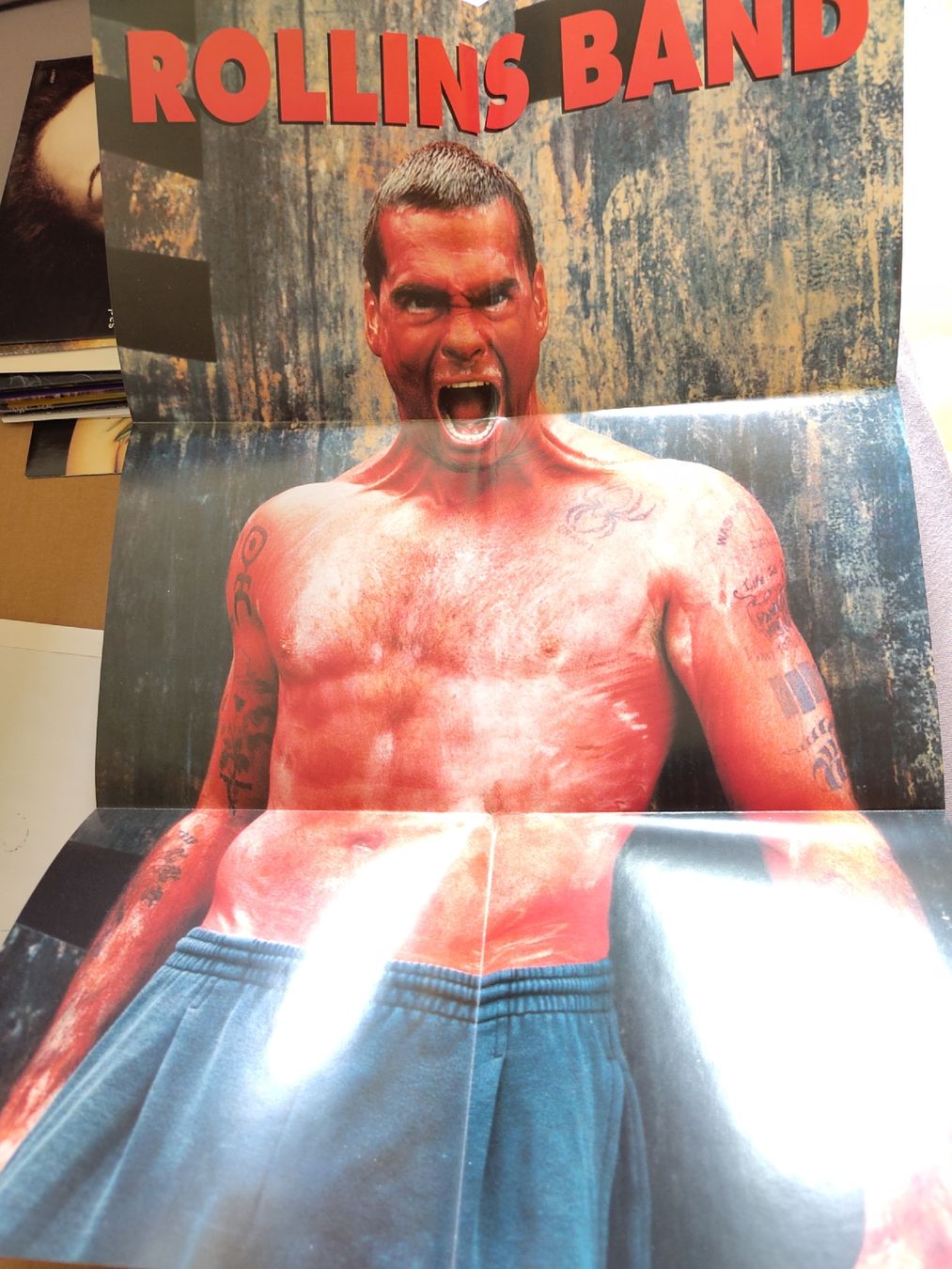 Dischi in vinile: Rollins Band - Liar 7" Single mit Poster – Usato da Büsserach venduto da Bey23 2