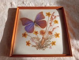 Wunderschönes Schmetterlingsbild Unikat Gewölbtes Glas 1962