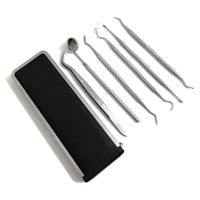 6x Dental Set Zahnarzt Zahnreinigung