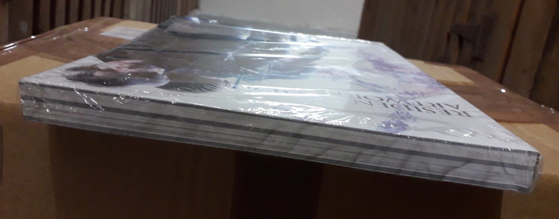 Bücher: Resident Evil 6 Artworks – Neu und originalverpackt aus Basel von QUER13 3