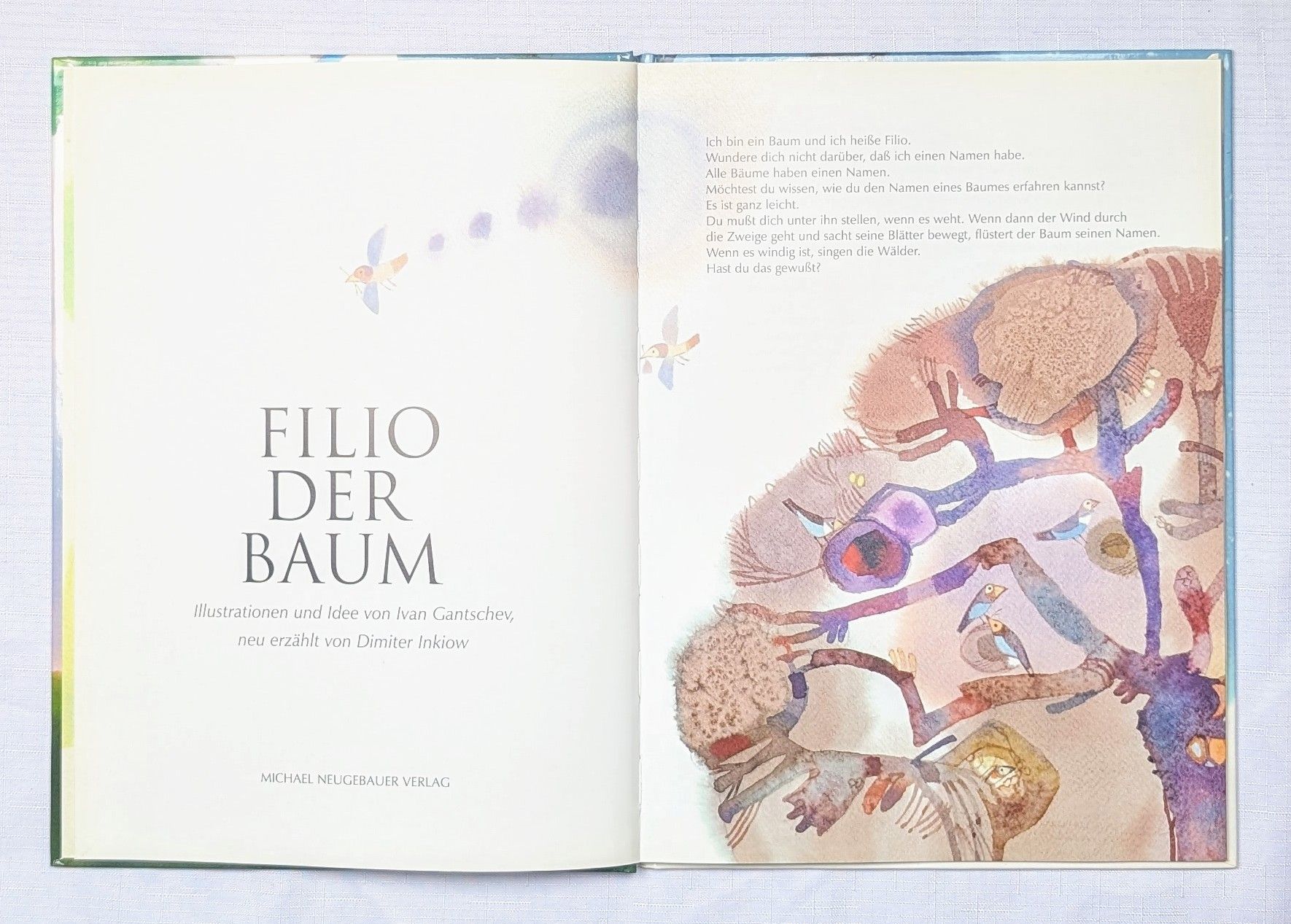 Bücher: Filio der Baum Buch von Ivan Gantschev – Neu (gemäss Beschreibung) aus Wängi von ABIZONE-86 1
