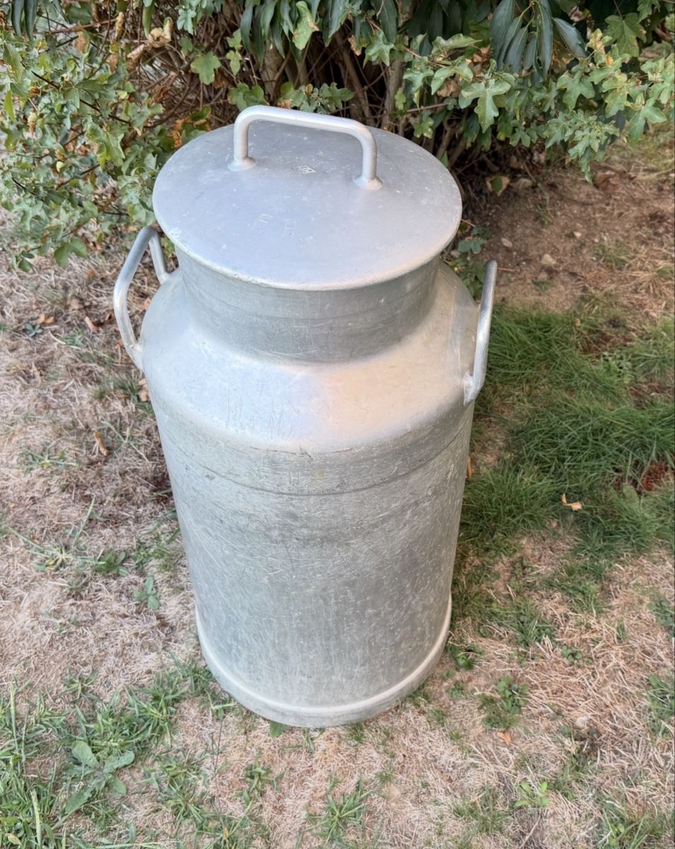 Landwirtschaft: Milchkanne 50 L – Gebraucht aus Gerlafingen von HungerDiva
