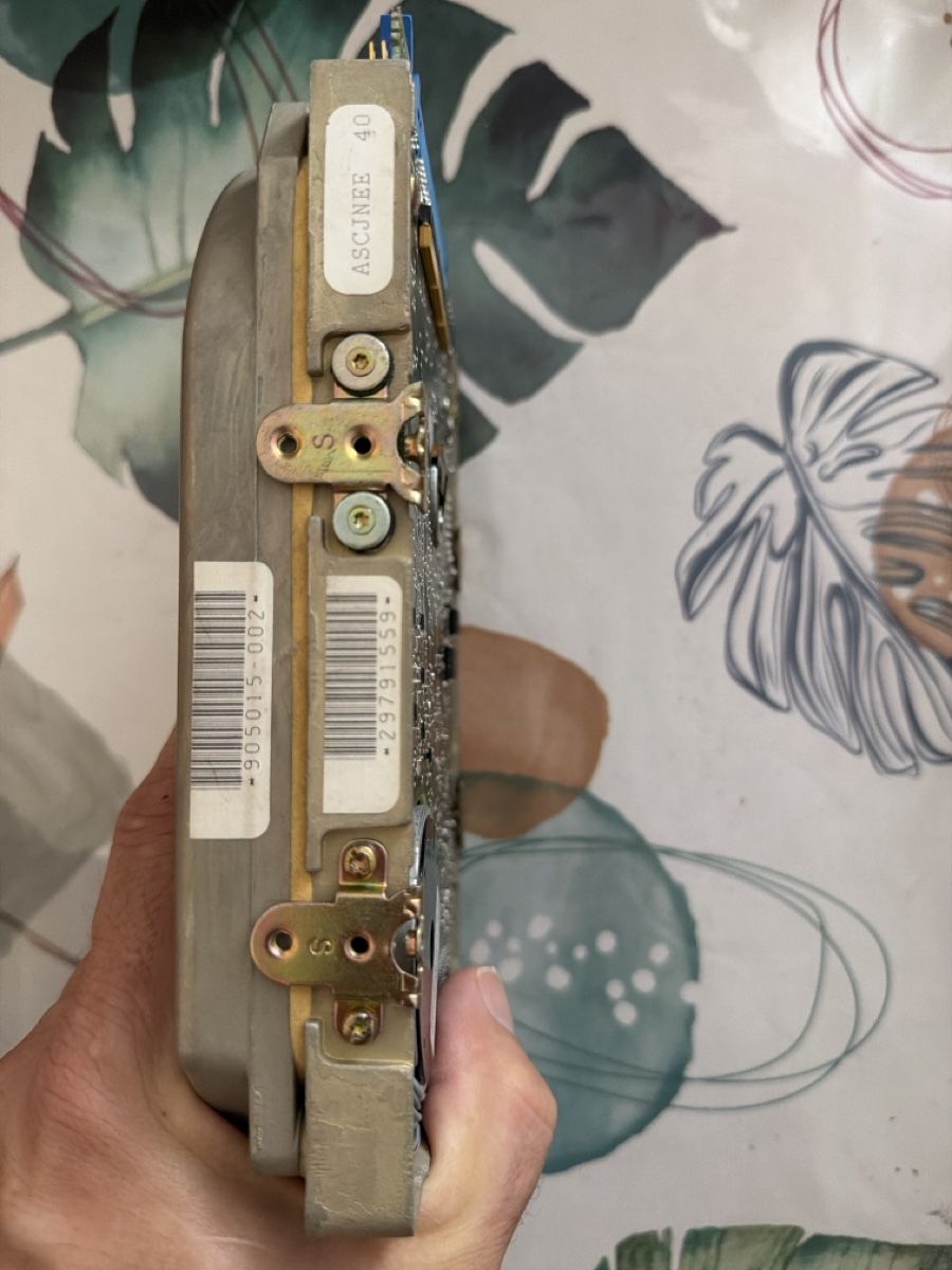 Seagate Dischi rigidi: Disque dur SCSI – Difettoso da Martigny venduto da capri2800 3