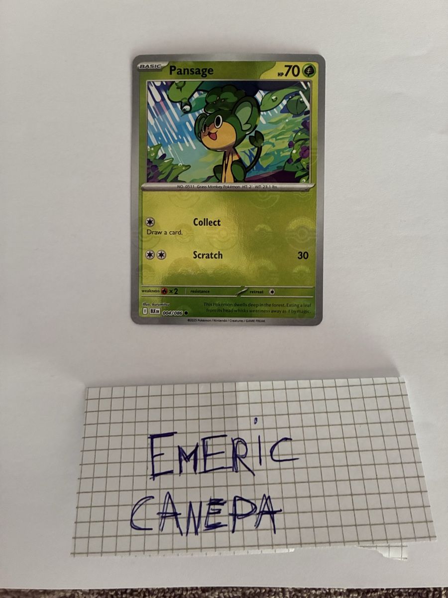 Pokémon Sammelbilder & Trading cards: Pansage EN pokeball  – Neu (gemäss Beschreibung) aus St-Aubin-Sauges von Mdwischh98