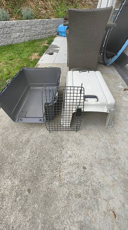 Gabbie, trasporto & Sicurezza: Hundebox / Tiertransportbox – Usato da Brunnadern venduto da lala043 3