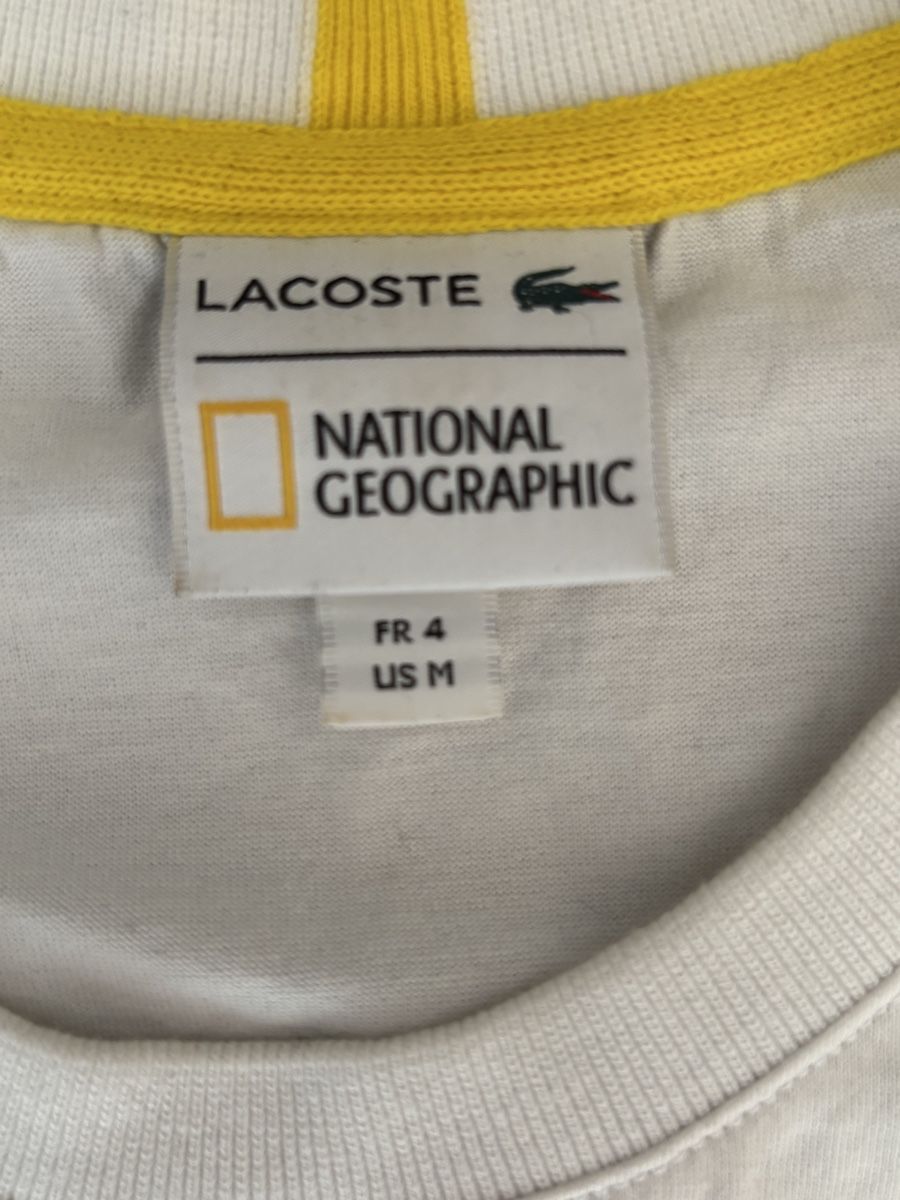 Lacoste T-shirt: Lacoste T shirt – Usato da Zürich venduto da Edo_mch 2