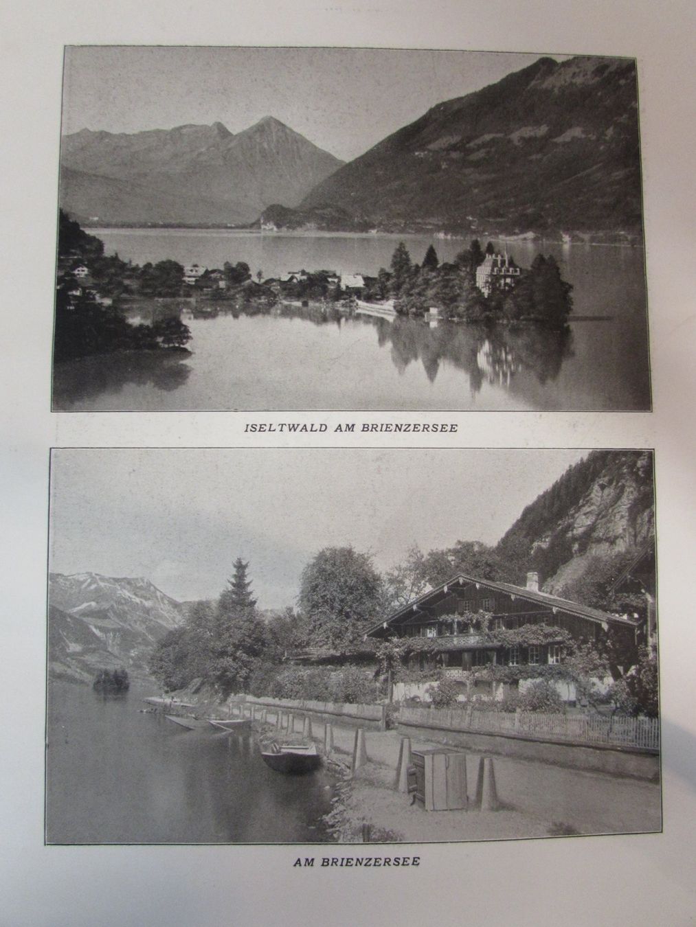 Incisioni: Berner Oberland, 19.Jh. – Usato da Walchwil venduto da Shells1 3