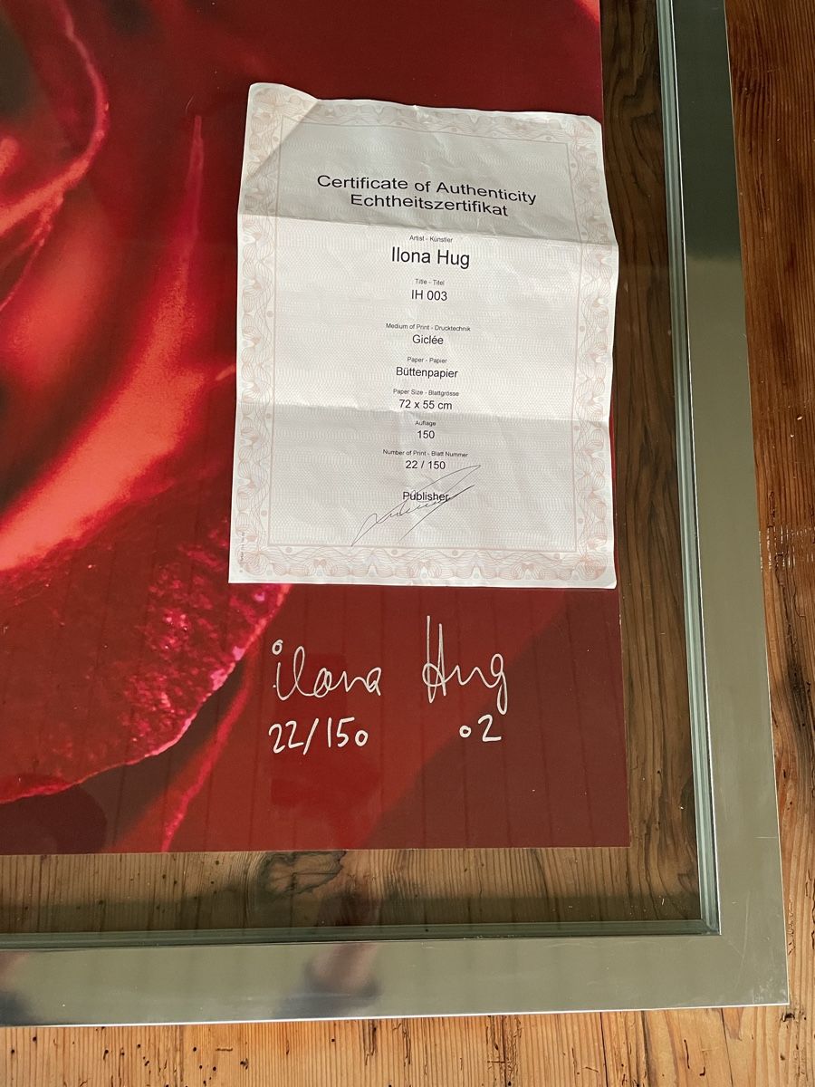 Poster & Bilder: Bild von Ilona Hug – Gebraucht aus Walliswil b.Wangen von Stewalt 2