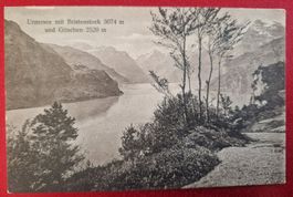 Urnersee mit Bristenstock, Top