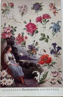 Blumensprache, Blumen, Botanik