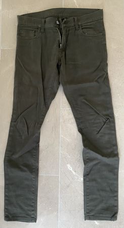 Carhartt Rebel Pants / Hose