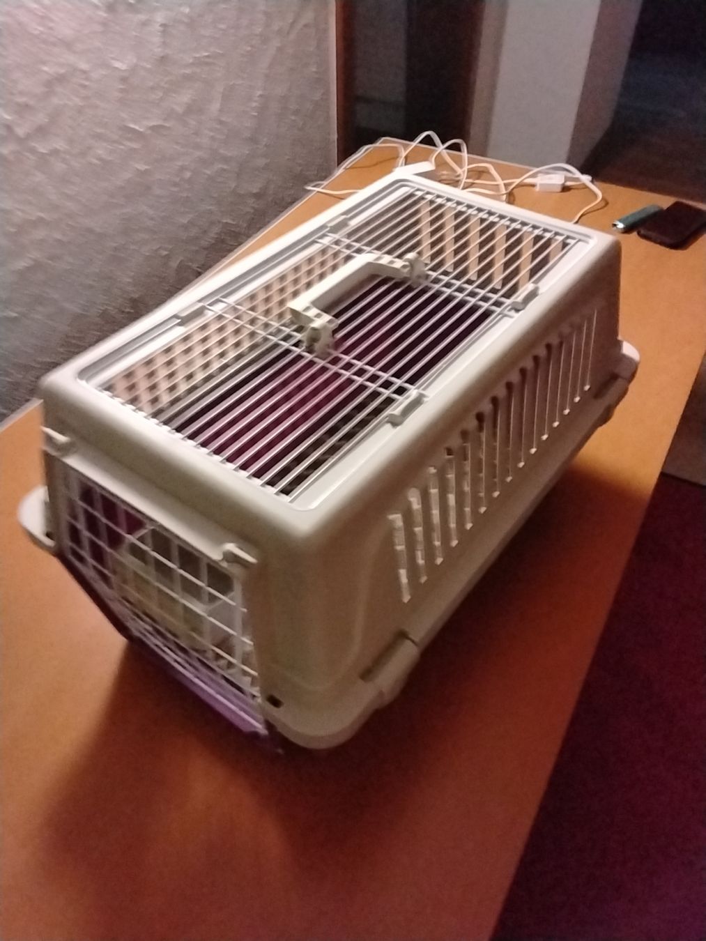 Gabbie, trasporto & Sicurezza: Katzentransportbox – Nuovo (secondo la descrizione) da Sonceboz-Sombeval venduto da Achilles8 1