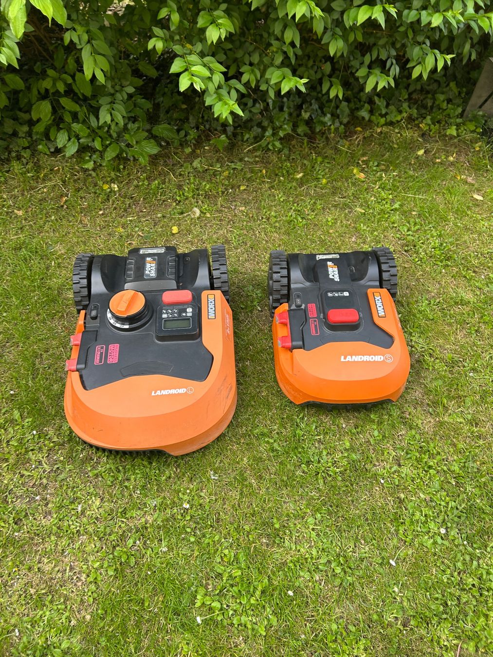 Worx Tondeuses à gazon: Worx Paket Zwei für Eins – D'occasion à Schenkon par Alexis_Robos
