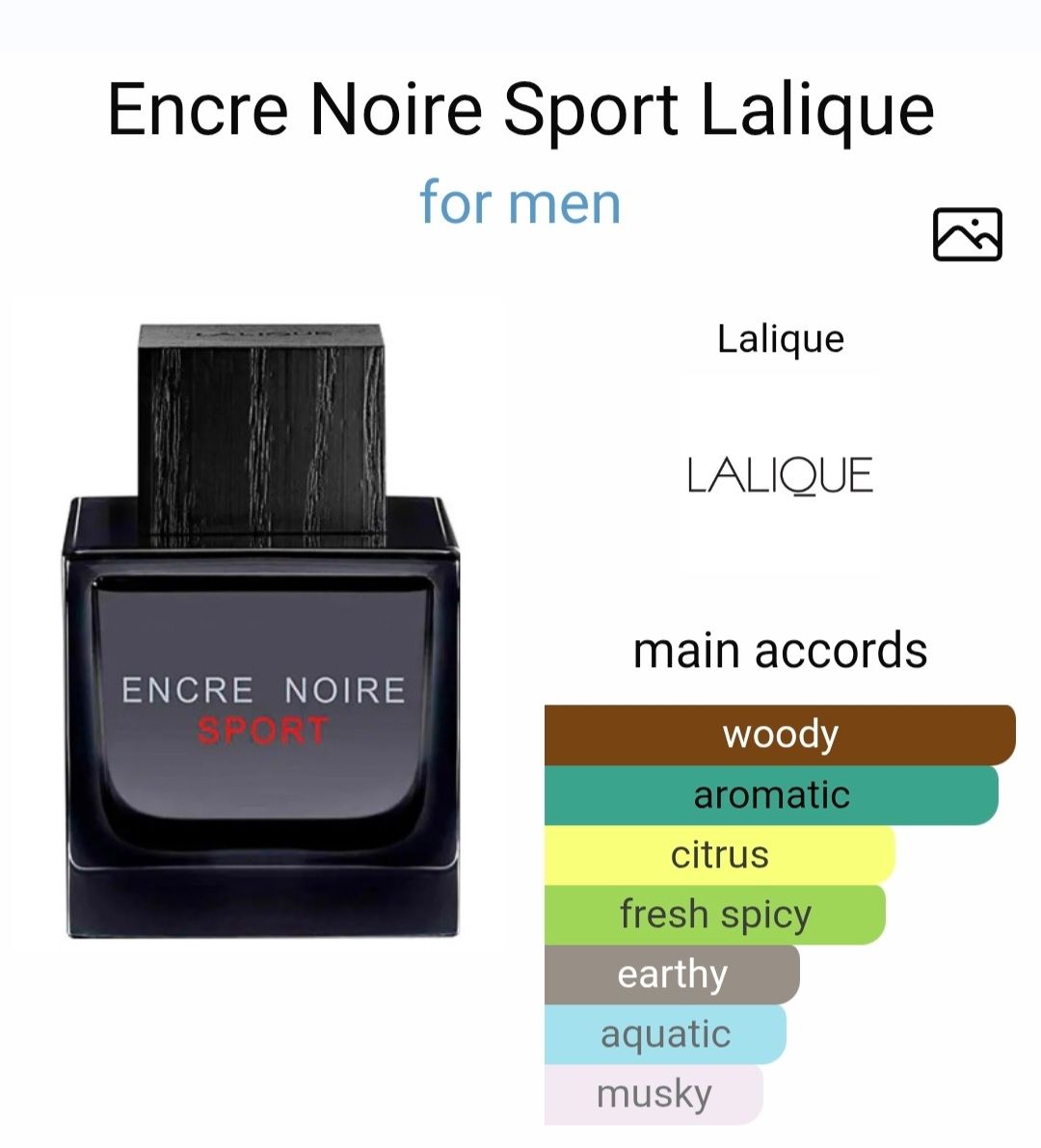 Profumi & Eau de Toilette: Encre Noire Sport – Nuovo (secondo la descrizione) da Utzigen venduto da DRAGONY23 2