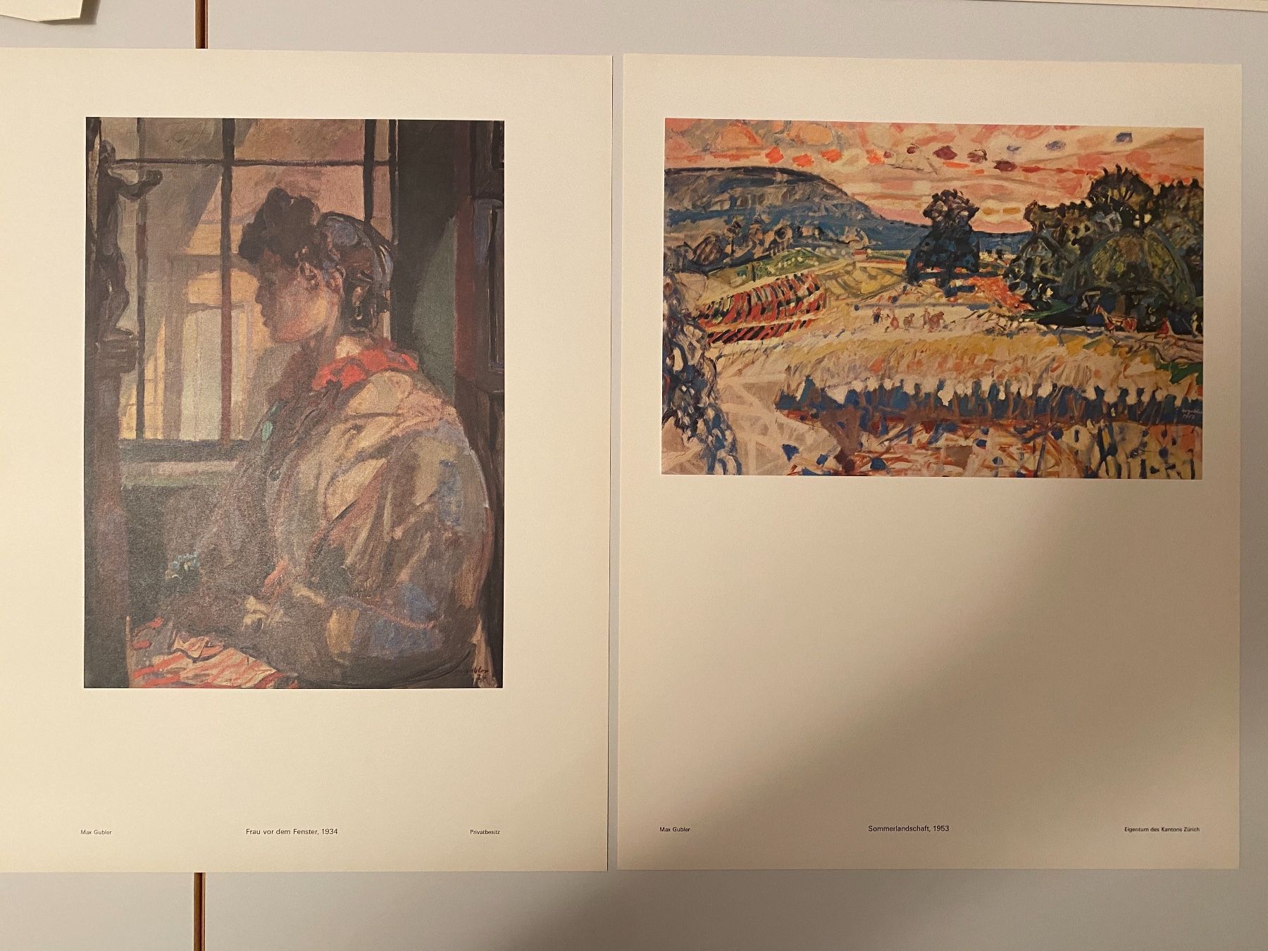 Foto & Immagini: Kunstmappe Max Gubler – Usato da Lüchingen venduto da LIDB 2