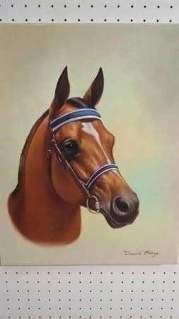 Gemälde: David "Pferdekopf" Gemälde Original – Gebraucht aus Zürich von Galerie-Kunst