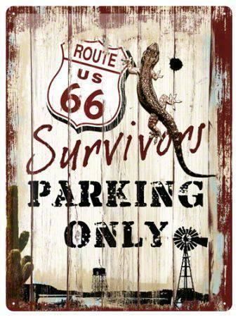 Insegne: Blechschild - Route 66 Surv.Parking Only – Nuovo e nell'imballaggio originale da Ennetbürgen venduto da open24shop