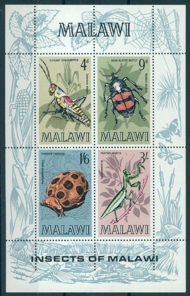 Temi: MALAWI, INSEKTEN, BLOCK 1970 postfrisch – Usato da Wetzikon ZH venduto da Philimpex