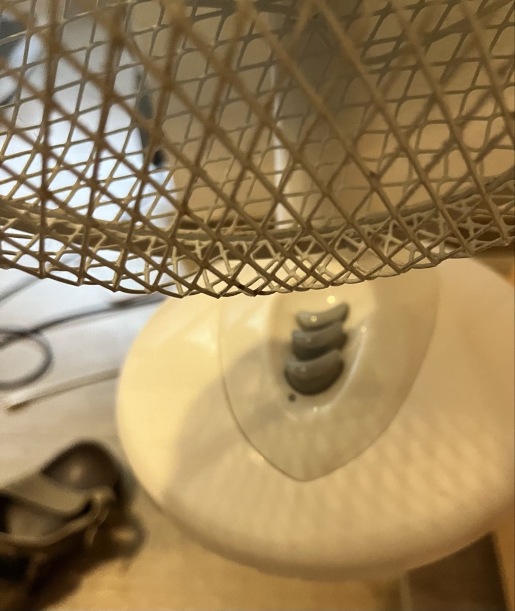 Ventilatoren: Tischventilator Intertronic weiss gebraucht – Gebraucht aus Flüelen von Xnoorzaihabibi 1