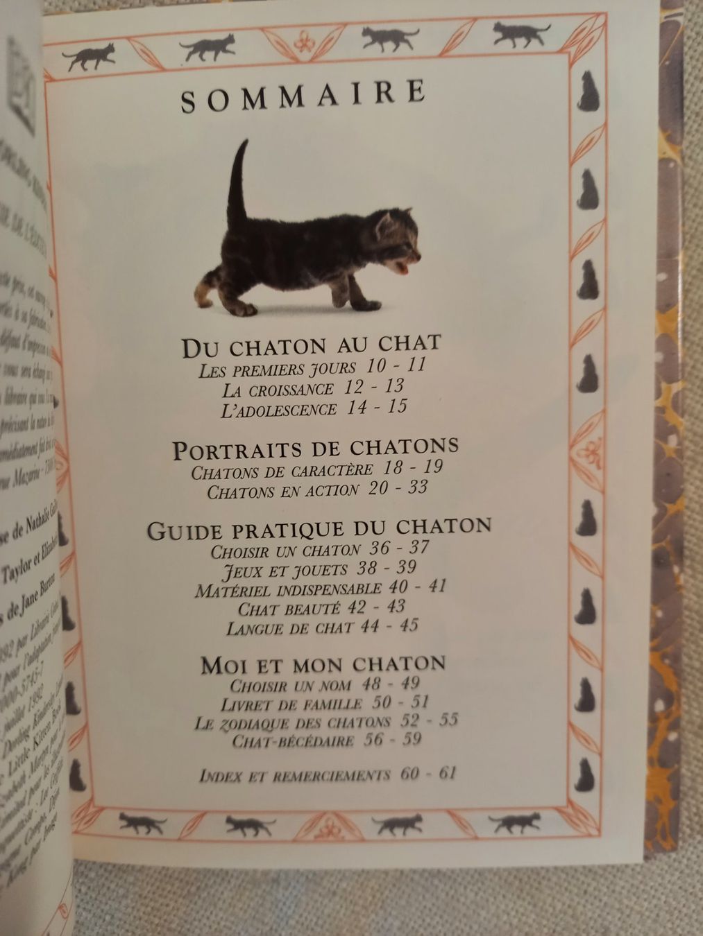 Libri: Chatons – Usato da Neuchâtel venduto da Dualseele 1