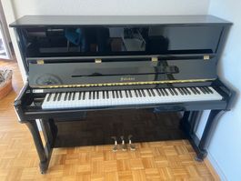 Klavier Falcone schwarz glanz
