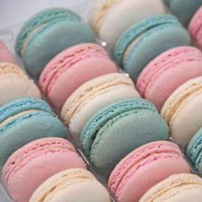 Profile image of Pastel_Isatis