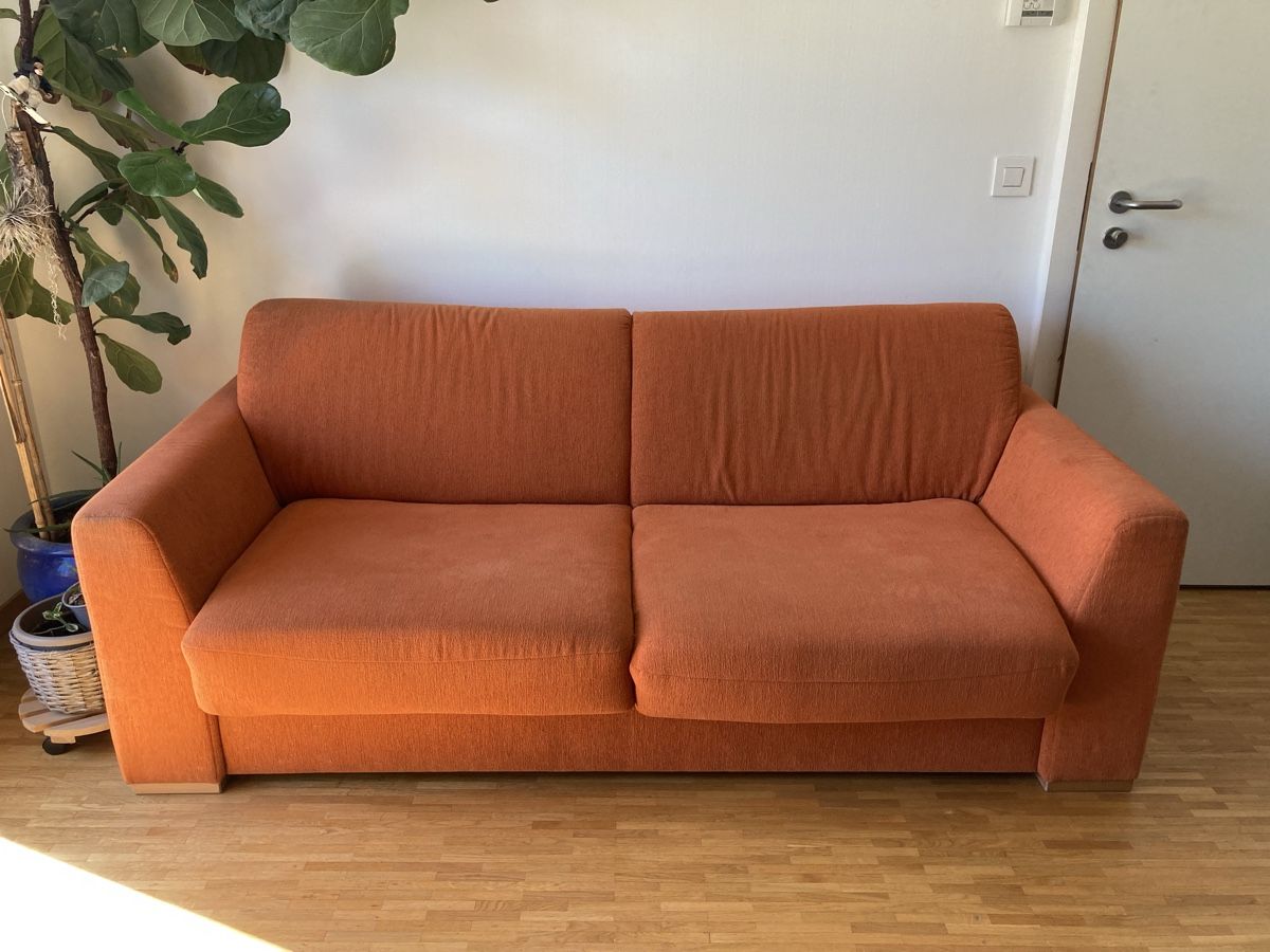 Divani: Canapé lit – Usato da Perly venduto da 100_x8dt