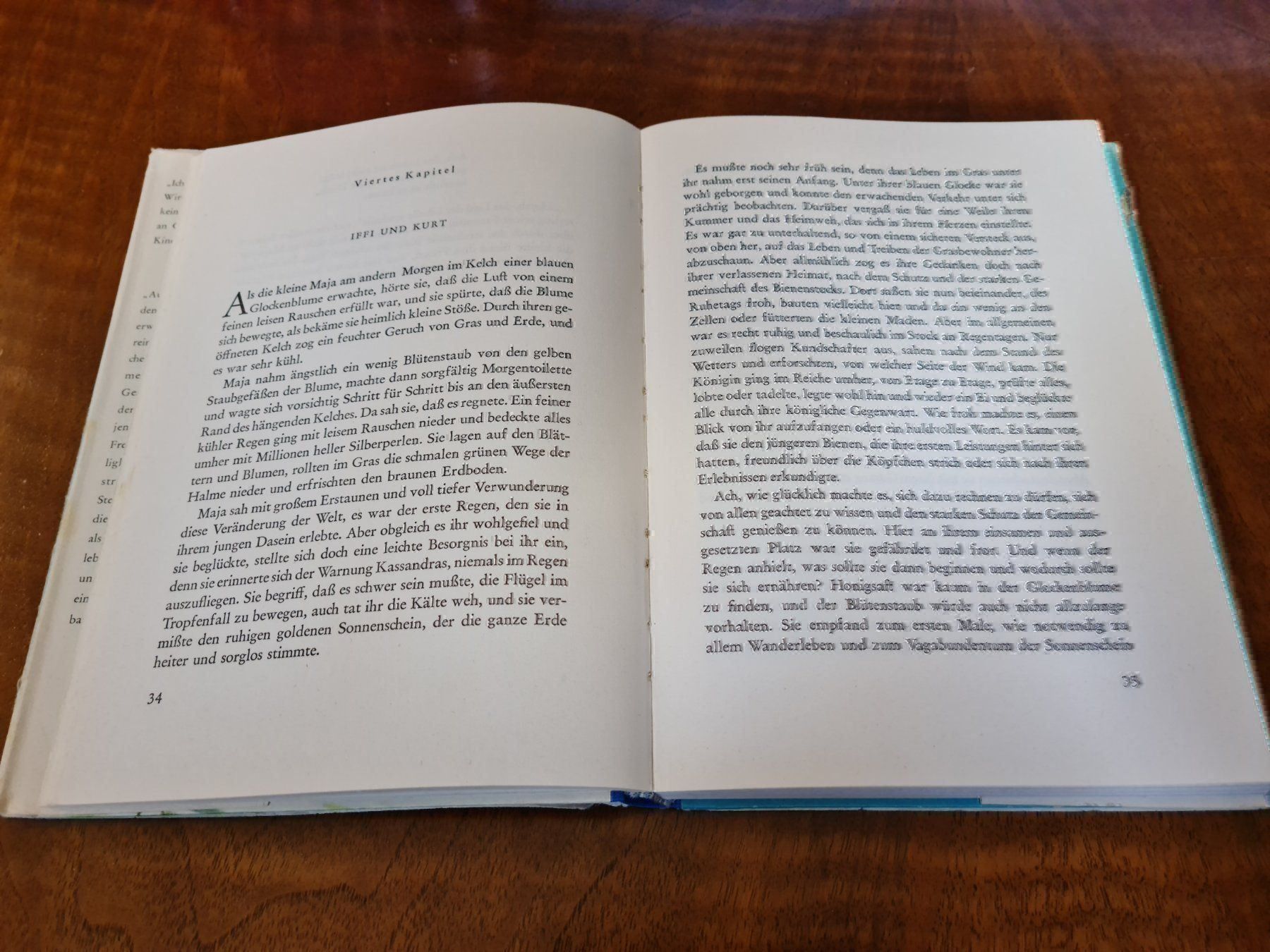 Libri: Die Biene Maja – Usato da Erstfeld venduto da Uhu1980 3