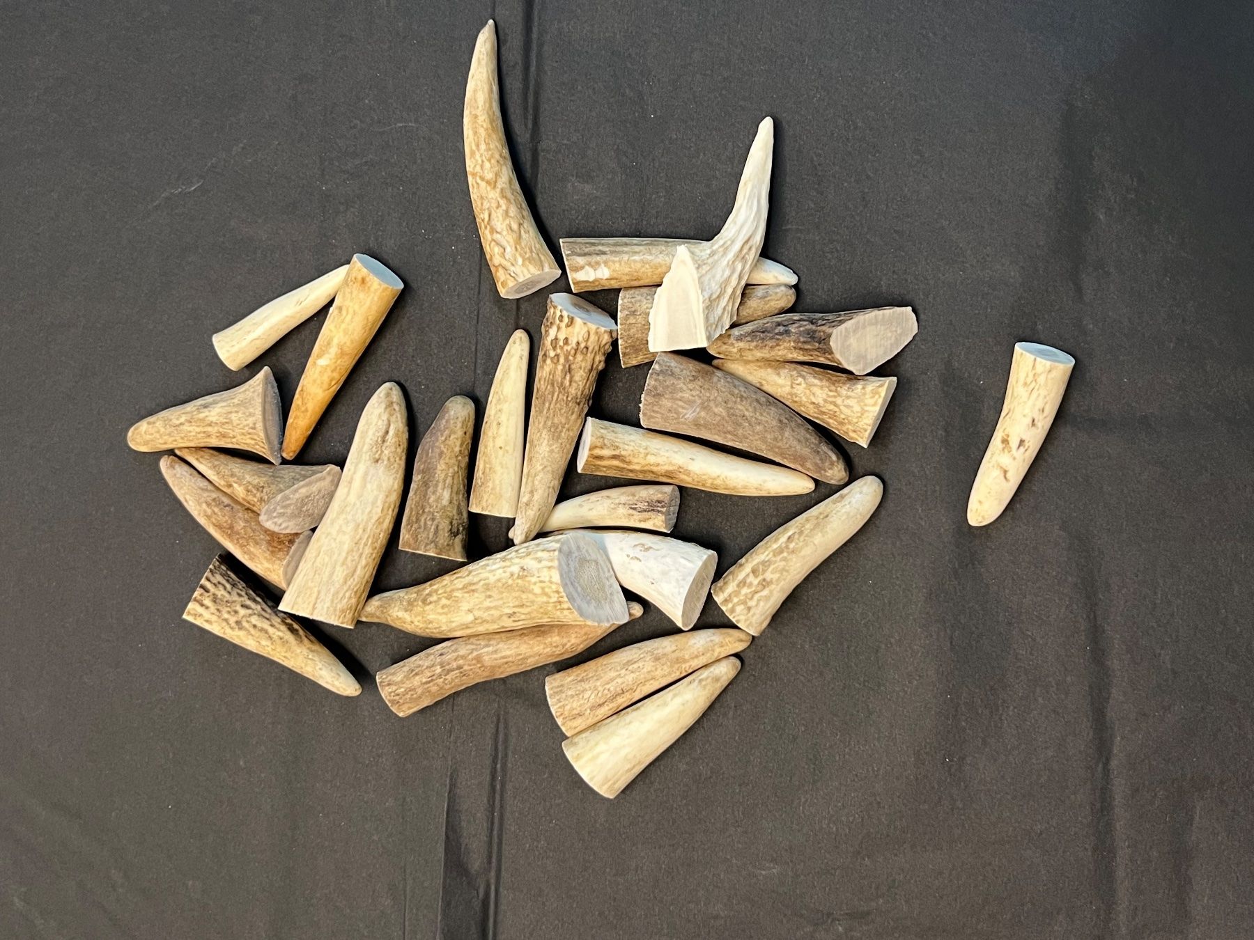 Kit bricolage: Hirsch Geweih Horn Hirschgeweih Spitzen 4-8cm – Usato da Vaduz venduto da hirschjager 2