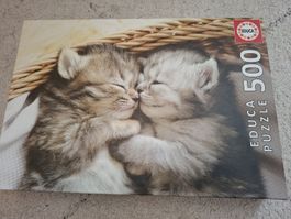 Katzenpuzzle Educa 500 Teile - Süsses Kätzchen Motiv!