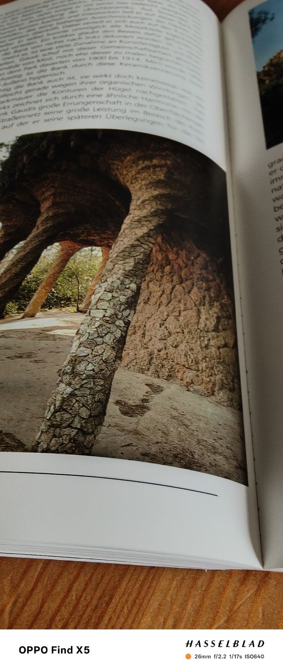Libri: Gaudi – Usato da Volken venduto da katz5 7