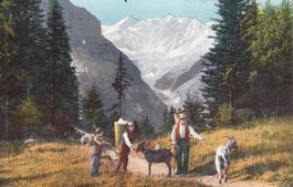 Berner Oberland   BE   -  Bergbauern mit Ziegen