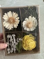 Getrocknete Blumen in einer dekorativen Box | NEU! ✨