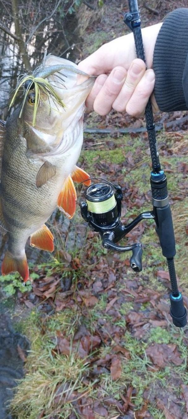 Canne da pesca: Sportex Magnific Finess – Usato da Urdorf venduto da IlijaR 1