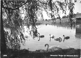 Uzwil, Oberuzwil, Bettenauer Weiher