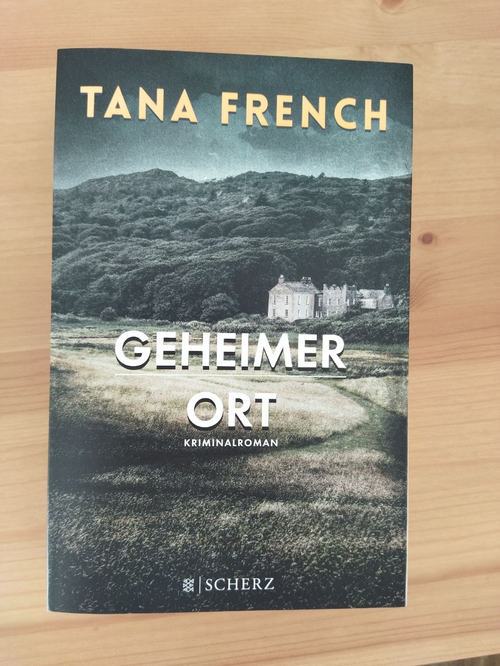 Livres: Geheimer Ort – Neuf (Voir description) à Amden par Arven-Schmuck