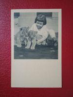 alte Photokarte Austria Mädchen mit jungen Löwen